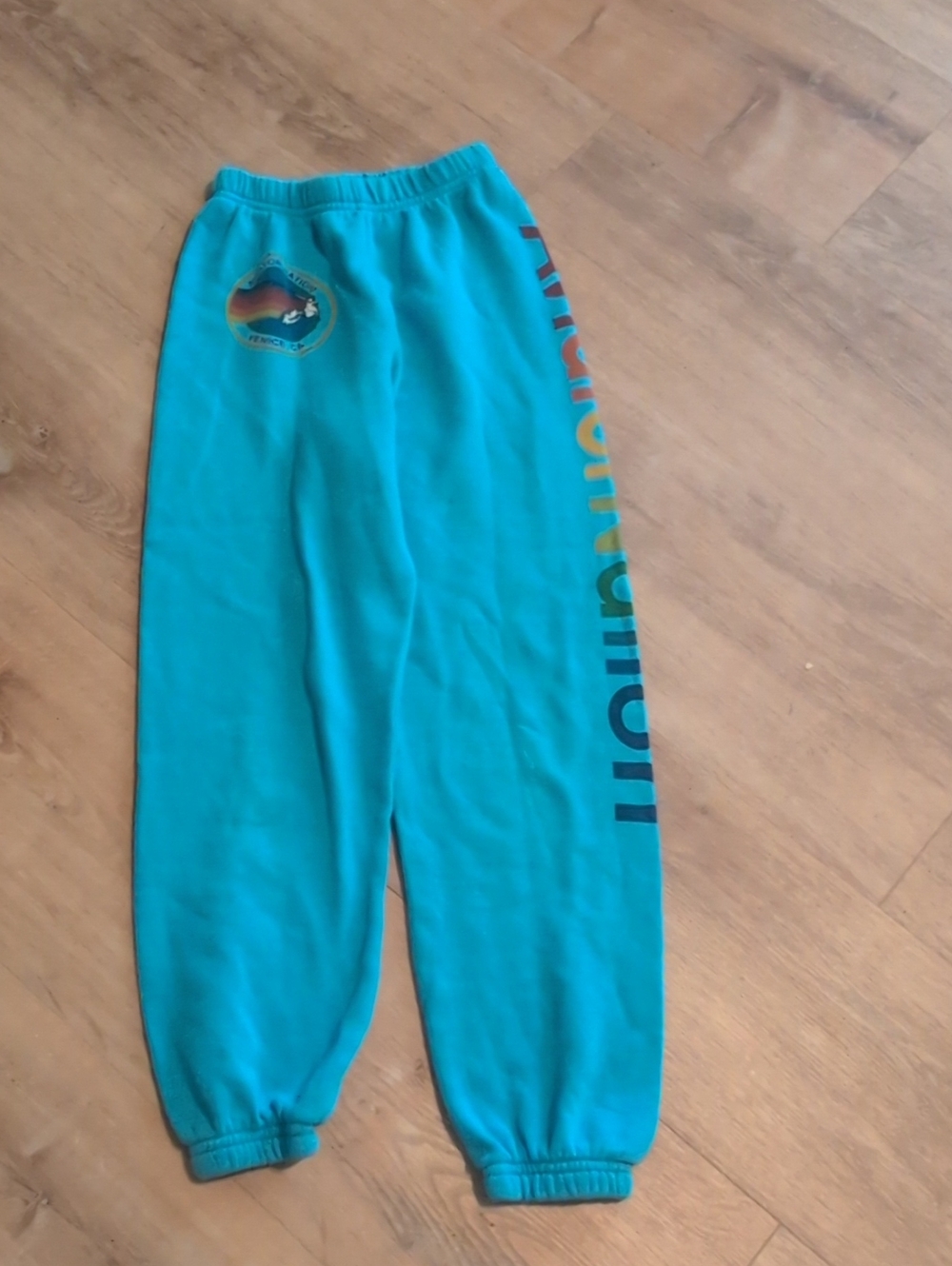 Kids Aviator Nation Teal Sweatpants with Rainbow Side Logo